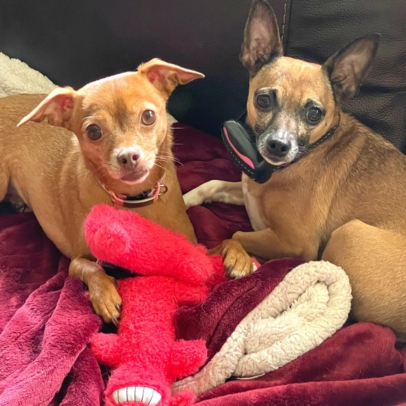 🩵 TiffaniLuxe is LIVE - come on in! 🩵 - Picture 7 of 7